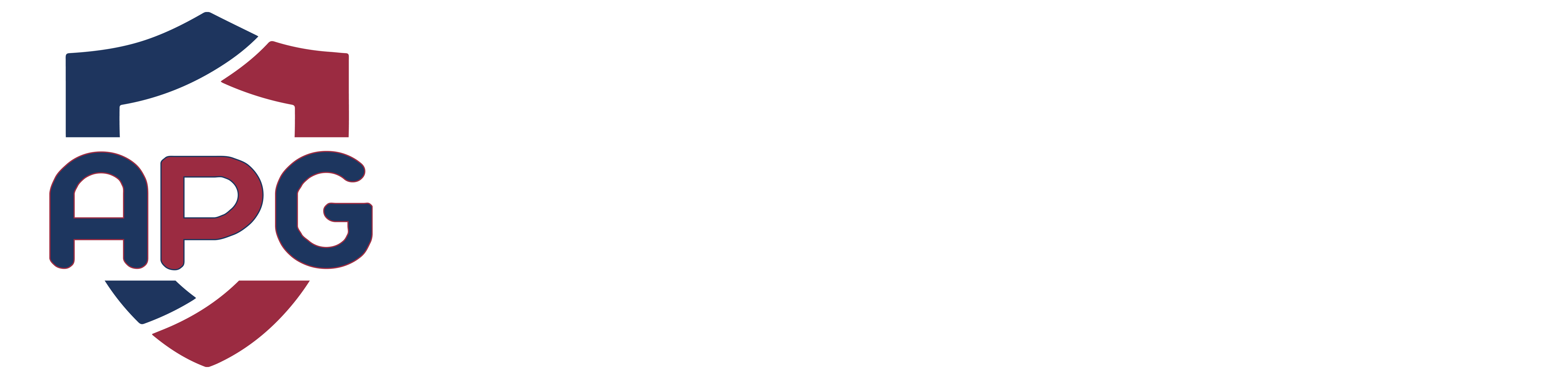 Asia Pecific Group - Logo