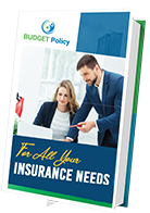 budget-policy-book-image